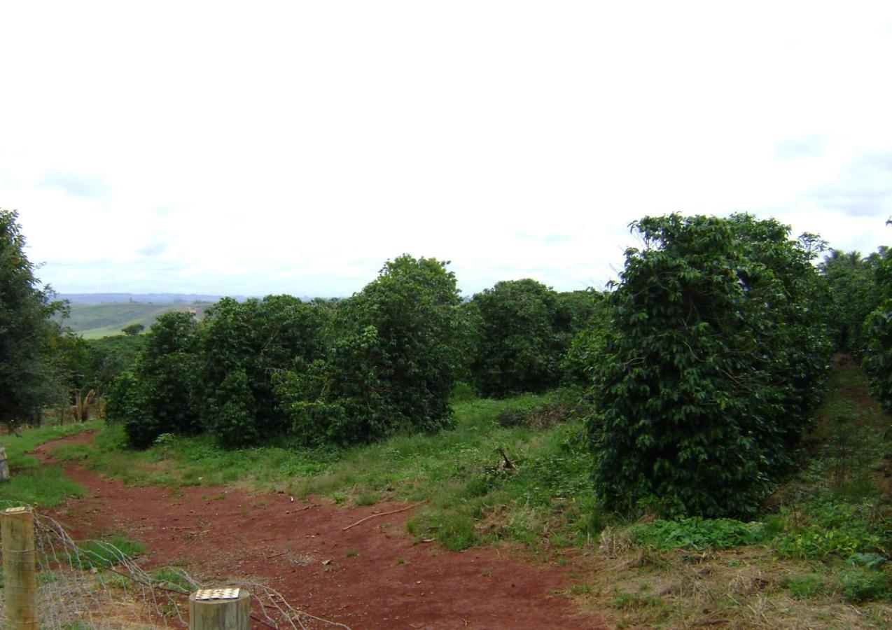 Sitio Sao Benedito São Roque de Minas Exteriér fotografie
